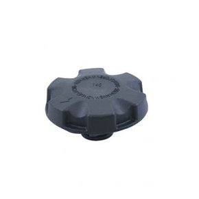 Tampa Reservatório Água Radiador Bmw 320 2006 a 2015 - Florio