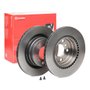Par Disco de Freio Traseiro 300mm Bmw 125 2013 a 2019 - Brembo